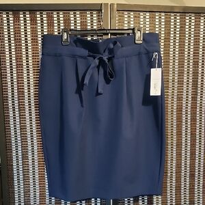 Liz Claiborne Navy Pencil Skirt